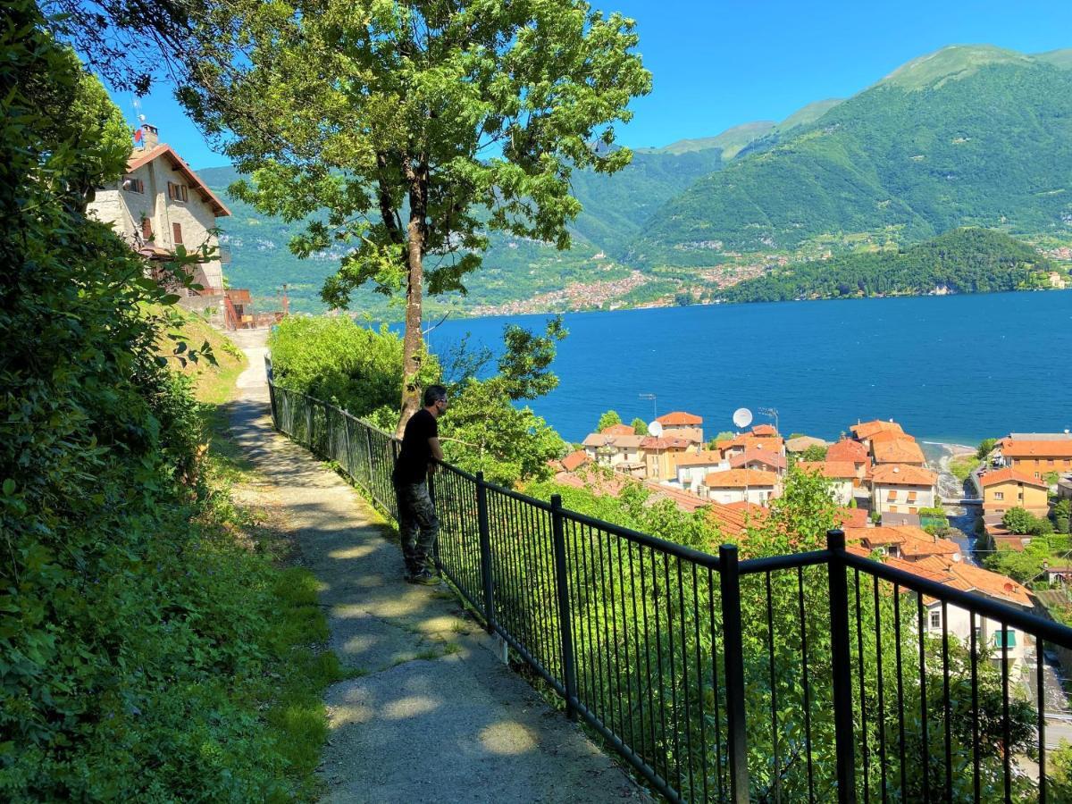 Apartament Il Bellavista Lezzeno Zewnętrze zdjęcie